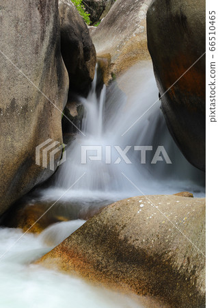 Shinko gorge of fresh green 66510465