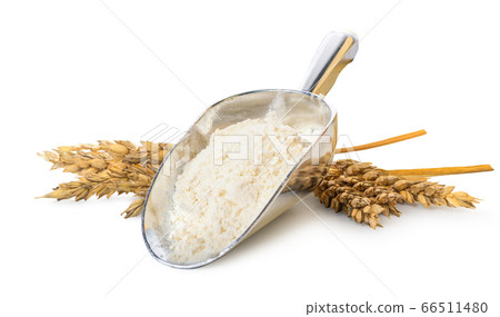 Flour and wheat Flour and wheat 66511480