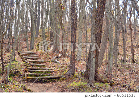孤獨的原木樓梯 66511535