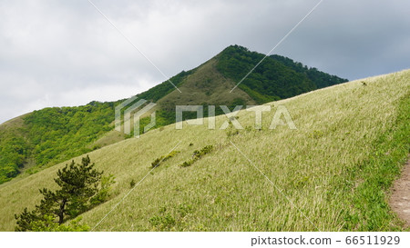 Hiruzen Mountain Shimohiruyama Hiruzen Mountain Shimohiruyama 66511929