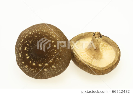 Thick raw shiitake mushrooms 66512482