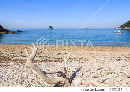 Driftwood and morning whale beach Shinojima, Aichi Prefecture 66512544