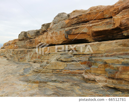 Wakayama Senjojiki Wakayama Senjojiki 66512781