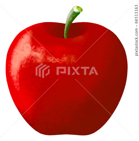 Handwritten style realistic illustration of an apple 66513163