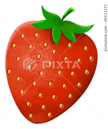 手寫風格草莓插畫 66513171