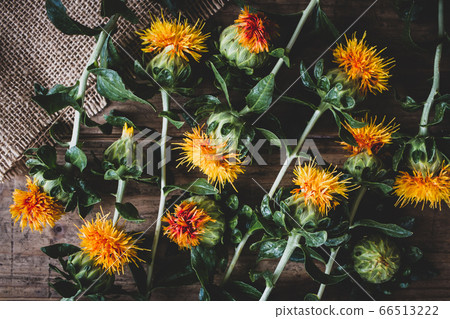 Safflower natural flower material image 66513222