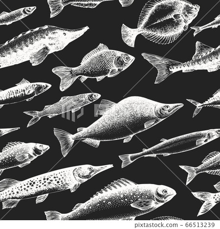 Hand drawn fish seamless pattern. Vector seafood - Stock Illustration ...