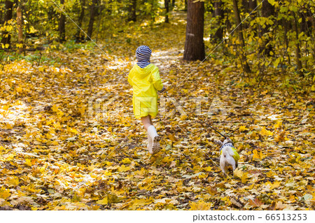 Child girl with dog outdoors. Kid with pet at autumn. Jack russell terrier puppy. Child girl with dog outdoors. Kid with pet at autumn. Jack russell terrier puppy. 66513253