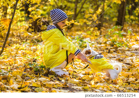Child girl with dog outdoors. Kid with pet at autumn. Jack russell terrier puppy. 66513254