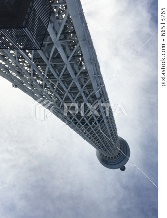 涼爽的天空樹 涼爽的天空樹 66513265