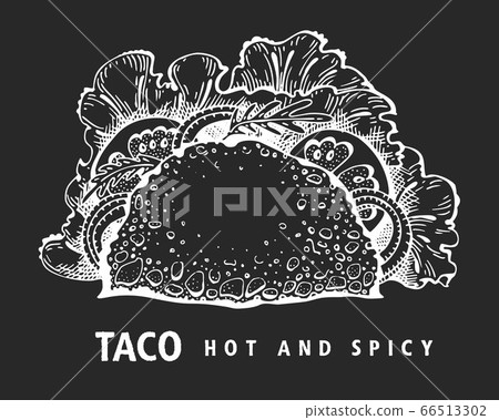 Hand drawn taco banner. Vector fast food Hand drawn taco banner. Vector fast food 66513302