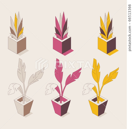 Isometric 3d collection with office plants deawn 66513366
