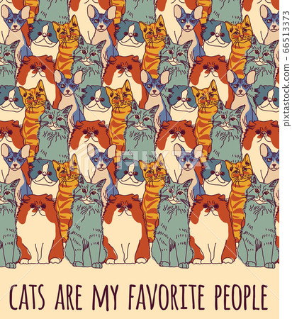 Group cats and funny sign color Group cats and funny sign color 66513373