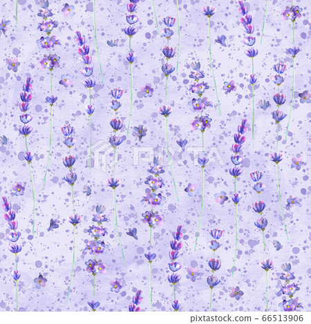 Lavender flowers and purple splashes watercolor... - Stock Illustration ...