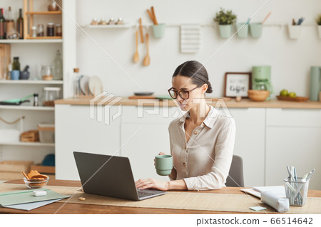 Elegant Young Woman Using Laptop in Kitchen Elegant Young Woman Using Laptop in Kitchen 66514642