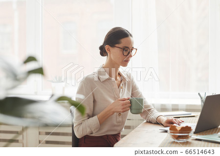 Elegant Woman Using Laptop at Breakfast Elegant Woman Using Laptop at Breakfast 66514643