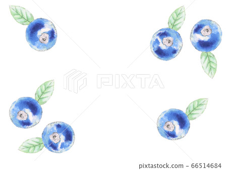 blueberry blueberry 66514684