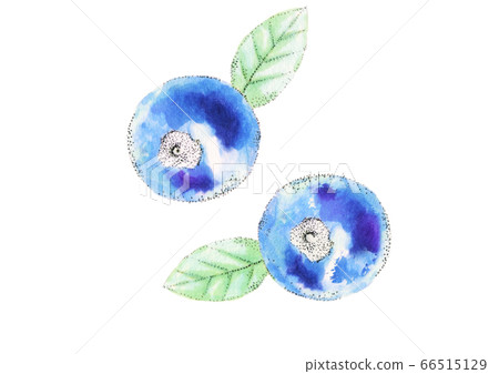 blueberry blueberry 66515129