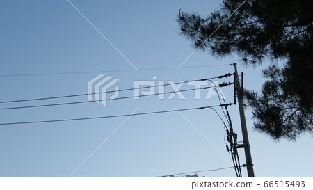 Crescent moon 66515493