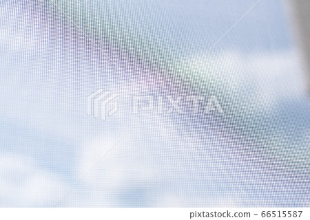 Background view from the window with a mosquito Background view from the window with a mosquito 66515587