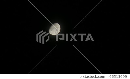 First month First month 66515699