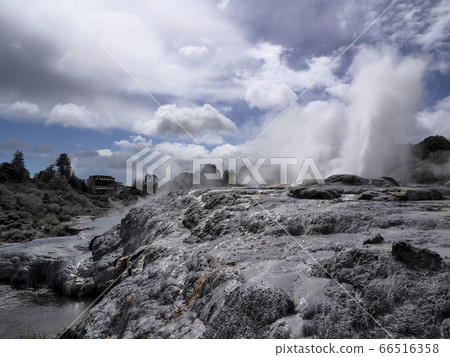 Pohutu Geyser, Te Puia, Rotorua Pohutu Geyser, Te Puia, Rotorua 66516358