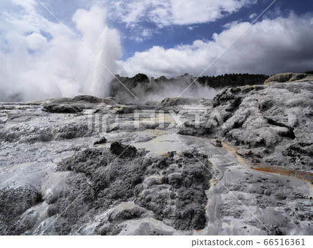 Pohutu Geyser, Te Puia, Rotorua Pohutu Geyser, Te Puia, Rotorua 66516361