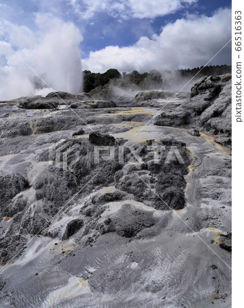 Pohutu Geyser, Te Puia, Rotorua Pohutu Geyser, Te Puia, Rotorua 66516363