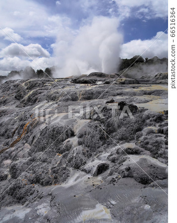 Pohutu Geyser, Te Puia, Rotorua 66516364