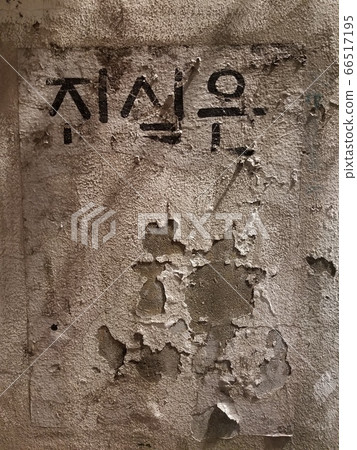 真相是什麼 真相是什麼 66517195