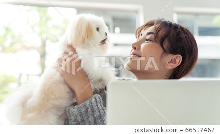 A cute material that lifts a young female doggy pet 66517462