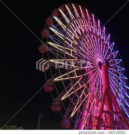 Ferris wheel 66519081