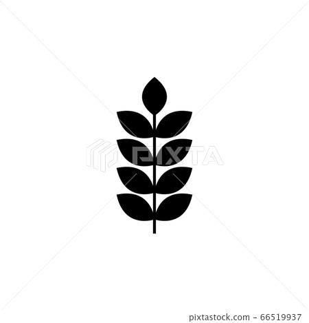 Grain Ear, Seed Spike, Wheat Flat Vector Icon 66519937