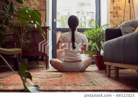 Concentrated lady doing morning exercises at home 66522025