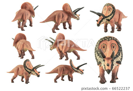 Torosaurus , dinosaur on white background . 66522237