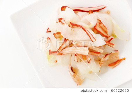 紅毛瓜和魷魚 紅毛瓜和魷魚 66522630