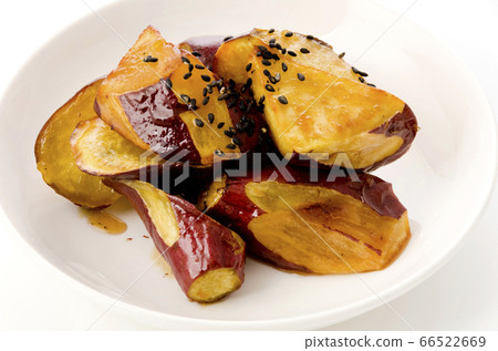 University University 66522669