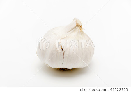 大蒜 66522703