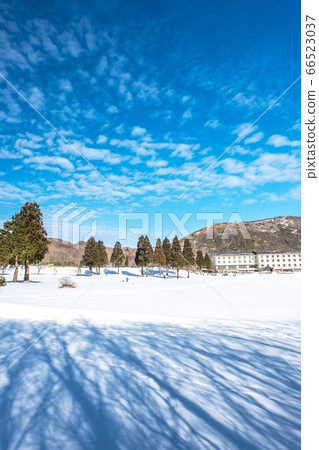 大山龜技雪景 大山龜技雪景 66523037