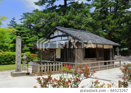 [Yamaguchi Prefecture] Matsushita Village School of Fresh Green 66523267