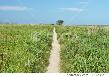 筆直的長廊和藍天(北海道夏之助半島) 筆直的長廊和藍天(北海道夏之助半島) 66523348