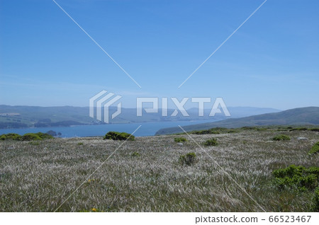 American Pierce Point Lunch California Sunny Walk Pacific Flower Elk American Pierce Point Lunch California Sunny Walk Pacific Flower Elk 66523467