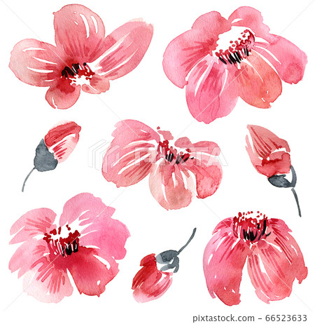 Watercolor flowers set 66523633