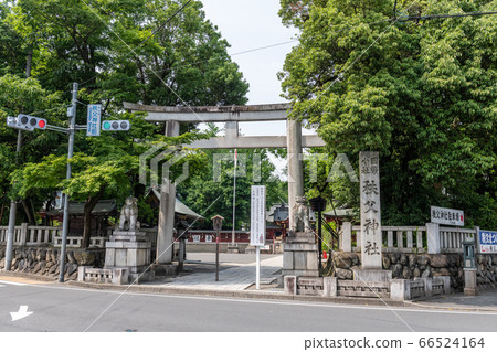 秩父神社 66524164