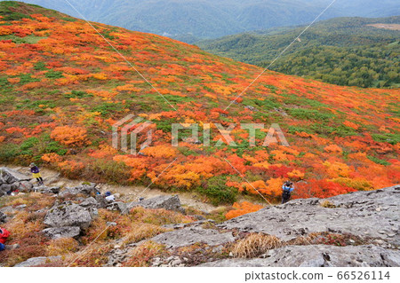 岩手縣三石山山頂上鋪著地毯的秋葉 岩手縣三石山山頂上鋪著地毯的秋葉 66526114