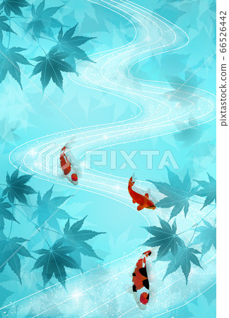Momiji hot summer carp background Momiji hot summer carp background 66526442