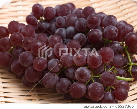 葡萄特拉華州 葡萄特拉華州 66527360