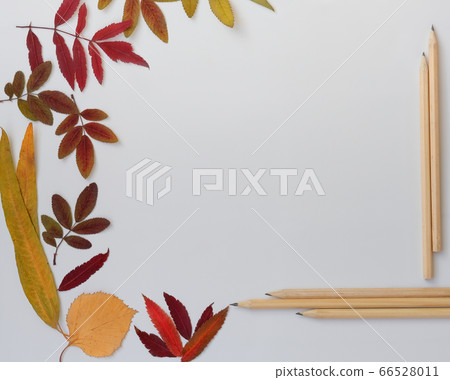 frame made of autumn leaves and pencils on white background 66528011