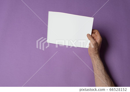 Male right hand holding a catalog with blank cover 66528152