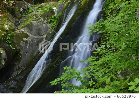 [岐阜縣高山市] Utsue 48個瀑布和障礙瀑布 66528976